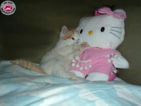 Quelques moments de tendresse...